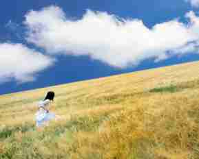 好​用​的﻿网‍站‍模‌板​